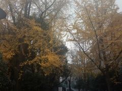 -四川大学(华西校区)