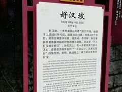 -云碧峰国家森林公园