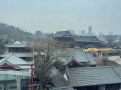 -七欣天香辣蟹火锅(南京建宁路大观天地店)