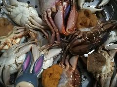 石夹红螃蟹-青岛沙子口国家中心渔港