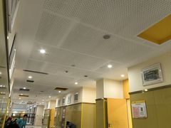 -长沙市青少年宫