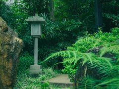 -广州兰圃
