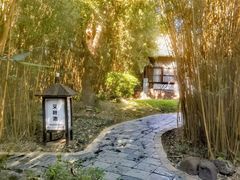 -森波拉火山温泉