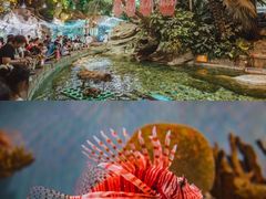 -北京海洋馆