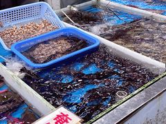 -大湾区中央湿地公园-十九涌