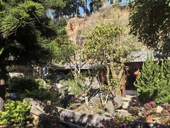-南诏风情岛