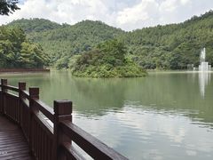 -广州白江湖森林公园