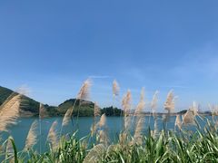 -长沙黑麋峰国家森林公园