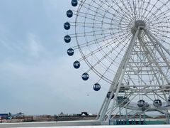 -秦皇岛乐岛海洋王国