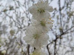 -黄兴公园