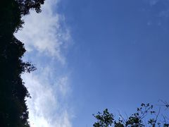 -海口火山口国家地质公园