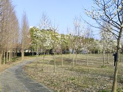 -金鹤新城水岸秀苑