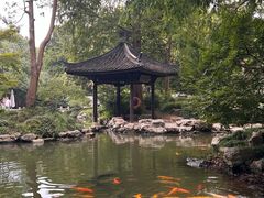 -杭州植物园