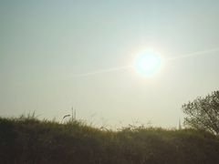 -盘龙城国家考古遗址公园