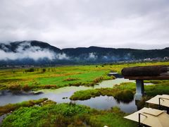 -腾冲北海湿地