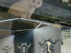 -弓舍射箭俱乐部(高新总店)