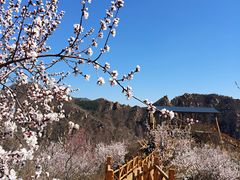 -大岭沟猕猴桃谷风景区