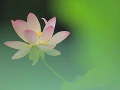 -草根堂农场