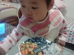 -丽莎蓓甜CAKE生日蛋糕·动物奶油(石家庄店)