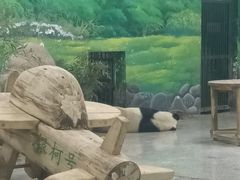 -临沂动植物园