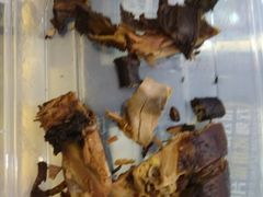 -张鸭子重庆特产卤味小吃(未来国际店)