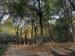 -首义公园-武昌蛇山烈士祠