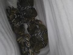 -乡乐园蟹庄·阳澄湖农家乐