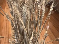 -西村日本料理(香格里拉饭店)