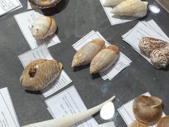 -摩登百货(岗顶店)