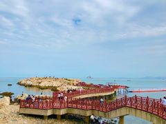 -养马岛旅游度假区