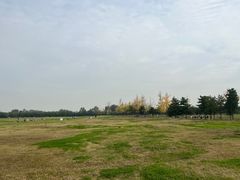 -汉长安城未央宫国家考古遗址公园