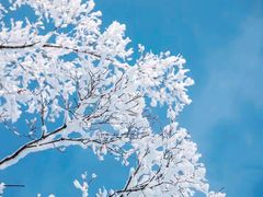 -中旅松花湖滑雪场