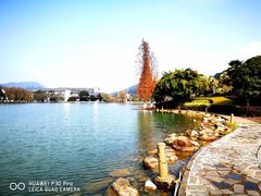 -明月山天沐温泉度假村