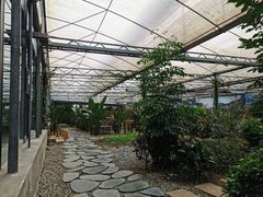 大堂-桉树林A coffee 森林餐厅(三圣乡店)
