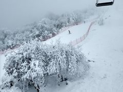 -太子岭滑雪场