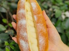 -洪九公(田子坊店)