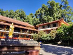 -都江堰普照寺