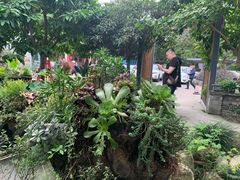 -凤来栖·净庭院·火锅(欧尚店)