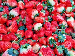 -家辉生鲜超市(东五路店)