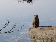 -庐山风景名胜区