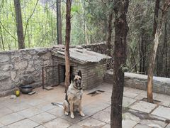 -四门塔风景区