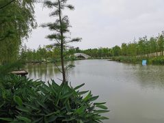 -上海长兴岛郊野公园