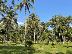 -中国科学院西双版纳热带植物园