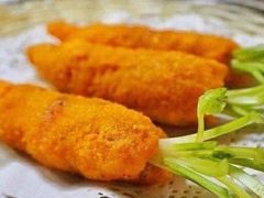-丁老爷子苏香圆
