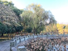 -柯岩风景区