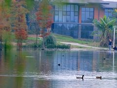 -白鹭湾湿地公园