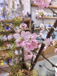 -今日陶艺(富力广场店)