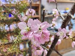 -今日陶艺(富力广场店)