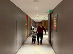 -潍坊鸢飞大酒店(泰华城店)