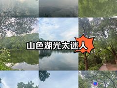 -上海共青森林公园